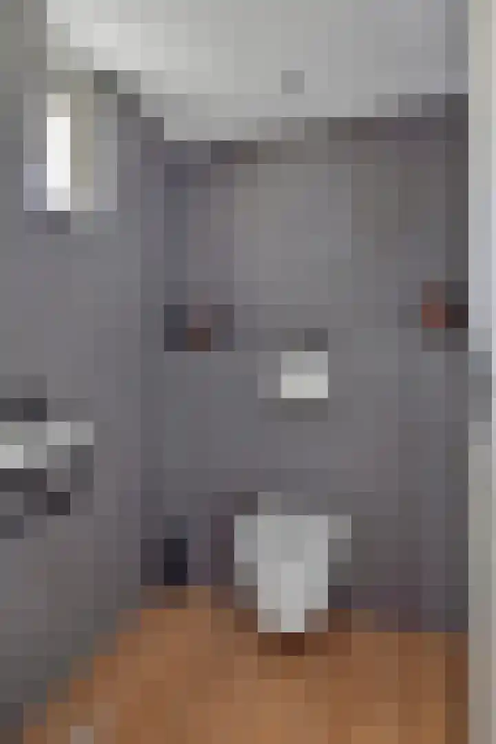 Blaaksedijk Oost 2 A Heinenoord thumbnail 12