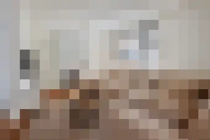Blaaksedijk Oost 2 A Heinenoord thumbnail 14