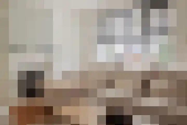 Blaaksedijk Oost 2 A Heinenoord thumbnail 15