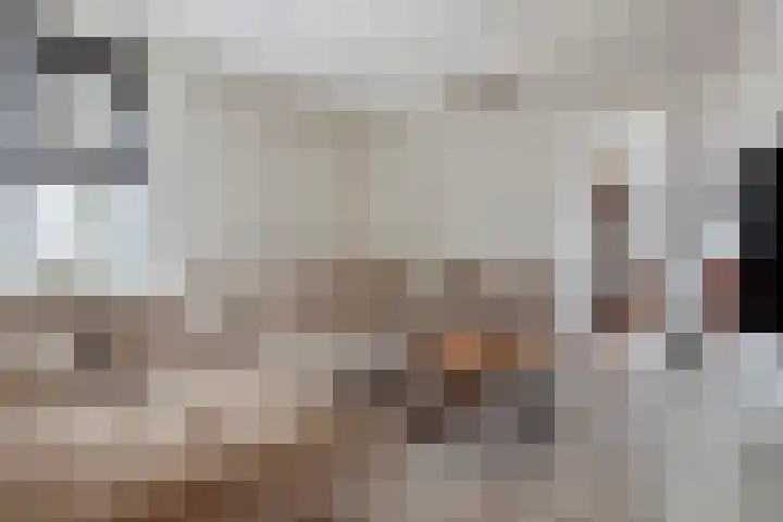 Blaaksedijk Oost 2 A Heinenoord thumbnail 16