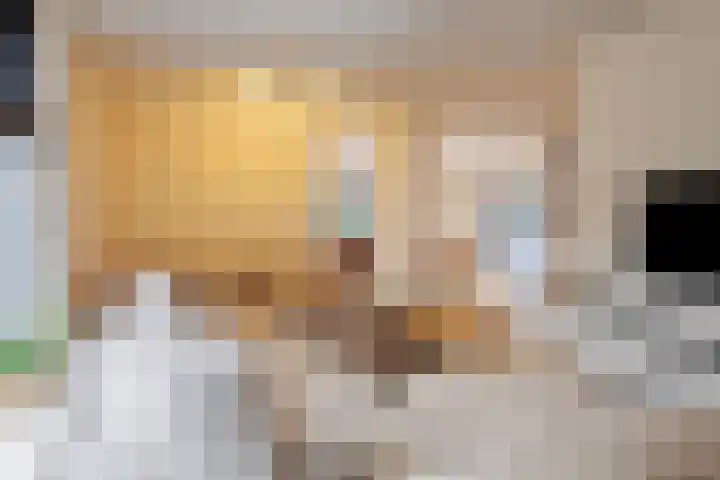 Blaaksedijk Oost 2 A Heinenoord thumbnail 18
