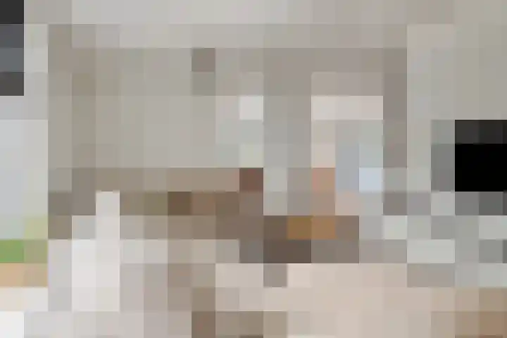 Blaaksedijk Oost 2 A Heinenoord thumbnail 19