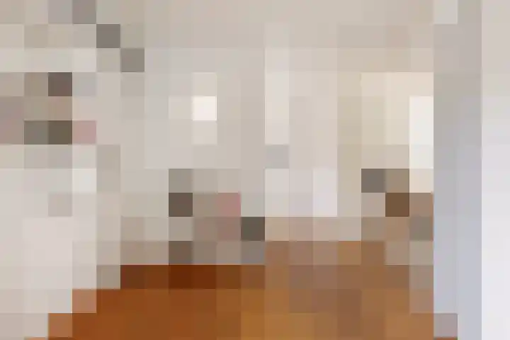 Blaaksedijk Oost 2 A Heinenoord thumbnail 20