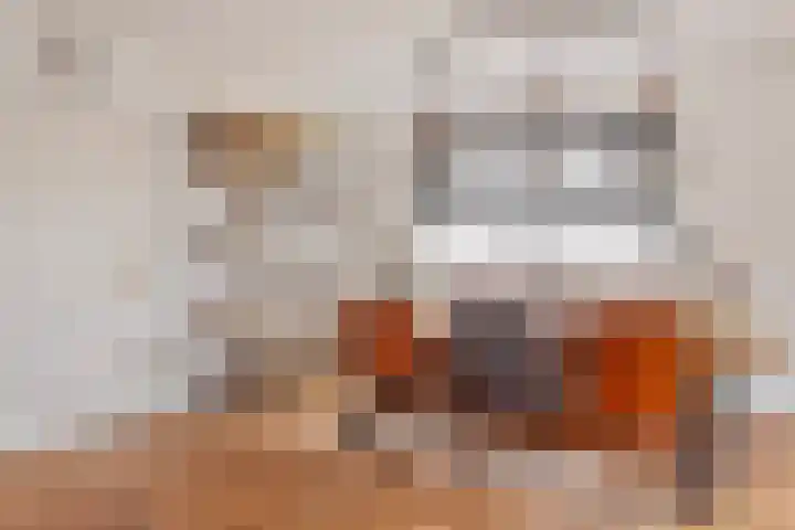 Blaaksedijk Oost 2 A Heinenoord thumbnail 24