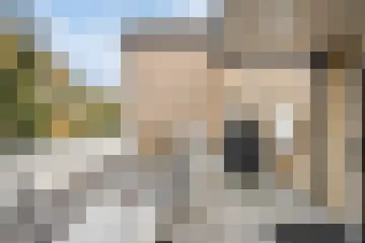 Blaaksedijk Oost 2 A Heinenoord thumbnail 26