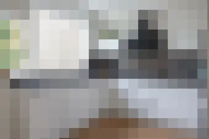 Blaaksedijk Oost 2 A Heinenoord thumbnail 30