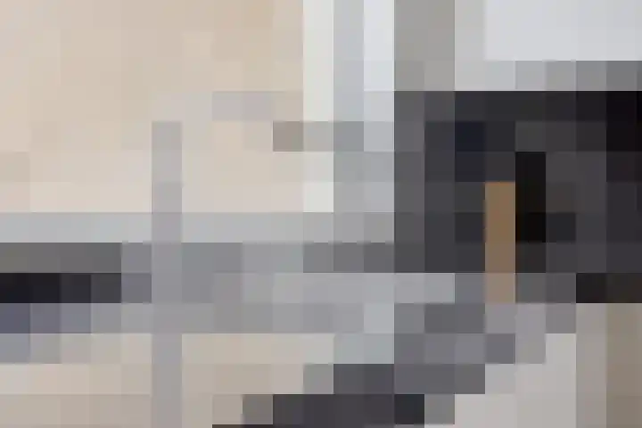 Blaaksedijk Oost 2 A Heinenoord thumbnail 31