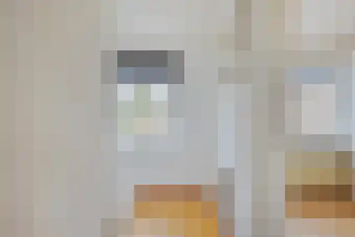 Blaaksedijk Oost 2 A Heinenoord thumbnail 34