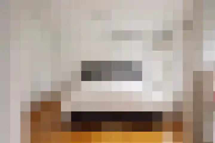 Blaaksedijk Oost 2 A Heinenoord thumbnail 37