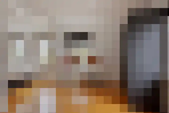 Blaaksedijk Oost 2 A Heinenoord thumbnail 41