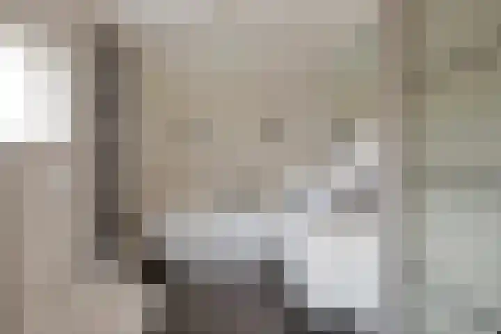 Blaaksedijk Oost 2 A Heinenoord thumbnail 43