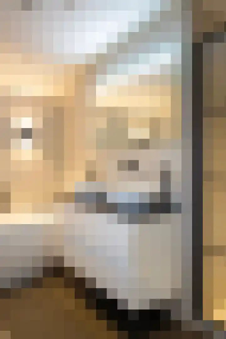 Blaaksedijk Oost 2 A Heinenoord thumbnail 44