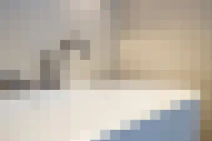 Blaaksedijk Oost 2 A Heinenoord thumbnail 46