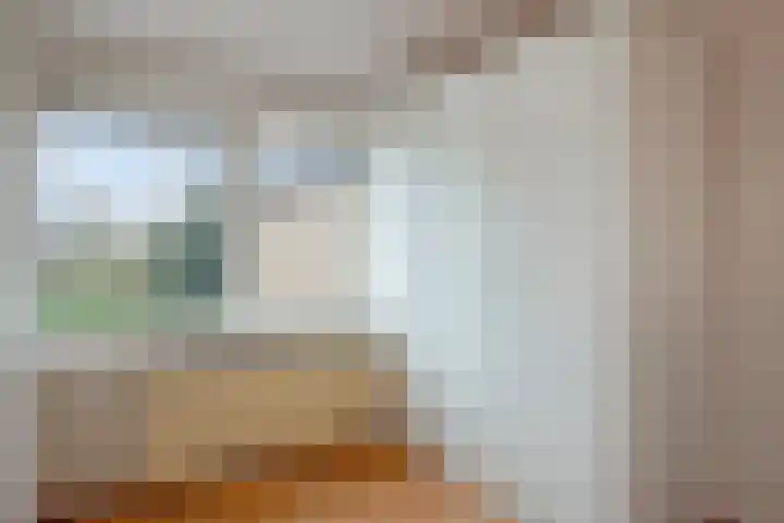 Blaaksedijk Oost 2 A Heinenoord thumbnail 48