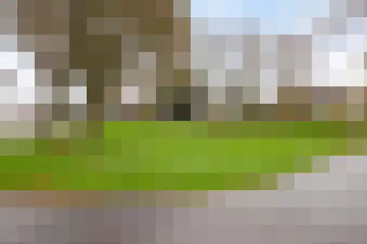Blaaksedijk Oost 2 A Heinenoord thumbnail 59