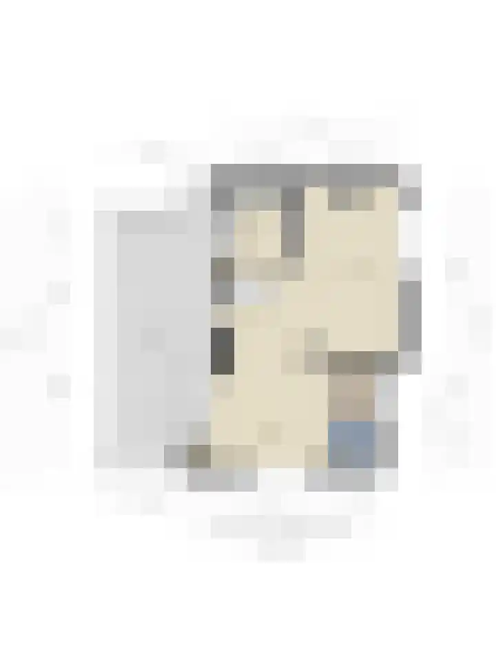Blaaksedijk Oost 2 A Heinenoord thumbnail 60