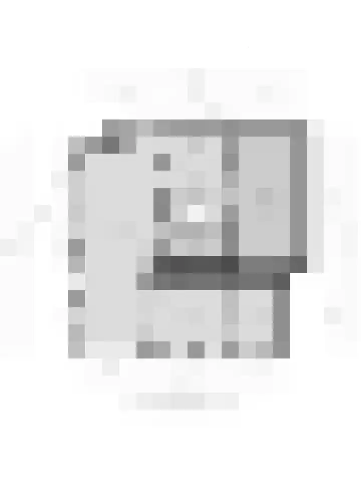 Blaaksedijk Oost 2 A Heinenoord thumbnail 62