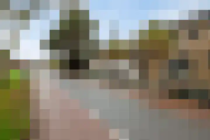 Blaaksedijk Oost 2 A Heinenoord thumbnail 7