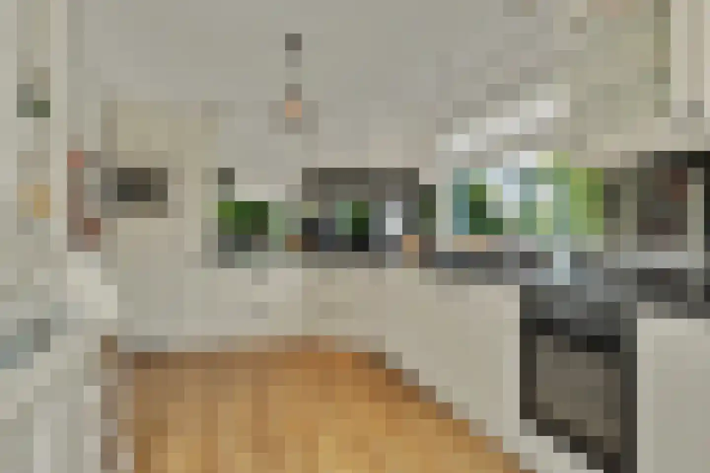 Blaaksedijk Oost 28 Heinenoord thumbnail 13