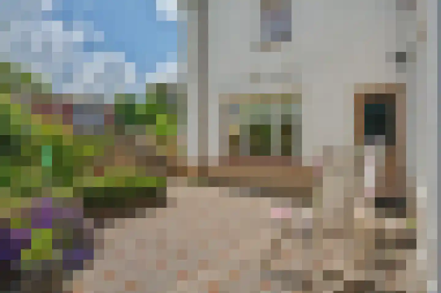Blaaksedijk Oost 28 Heinenoord thumbnail 30