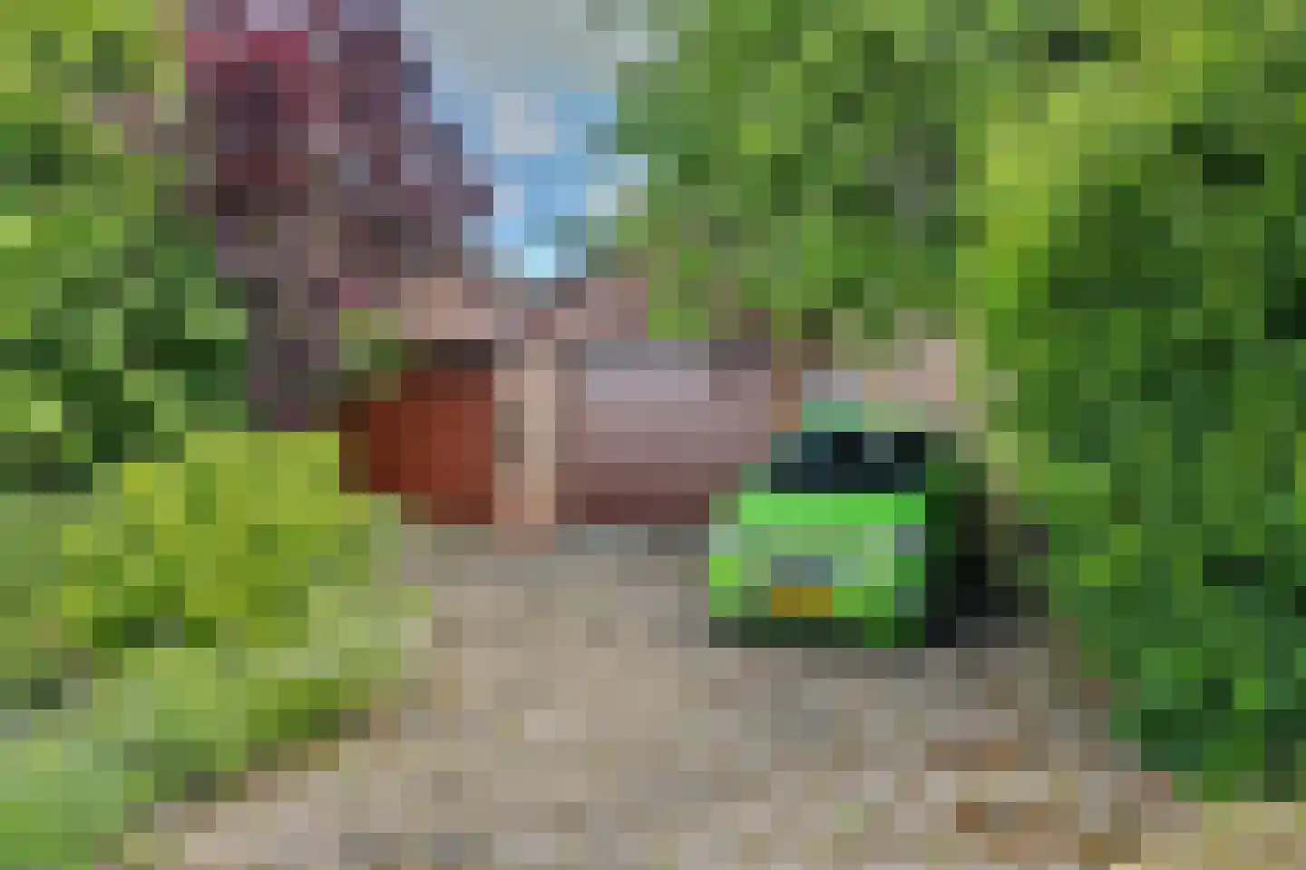 Blaaksedijk Oost 28 Heinenoord thumbnail 36