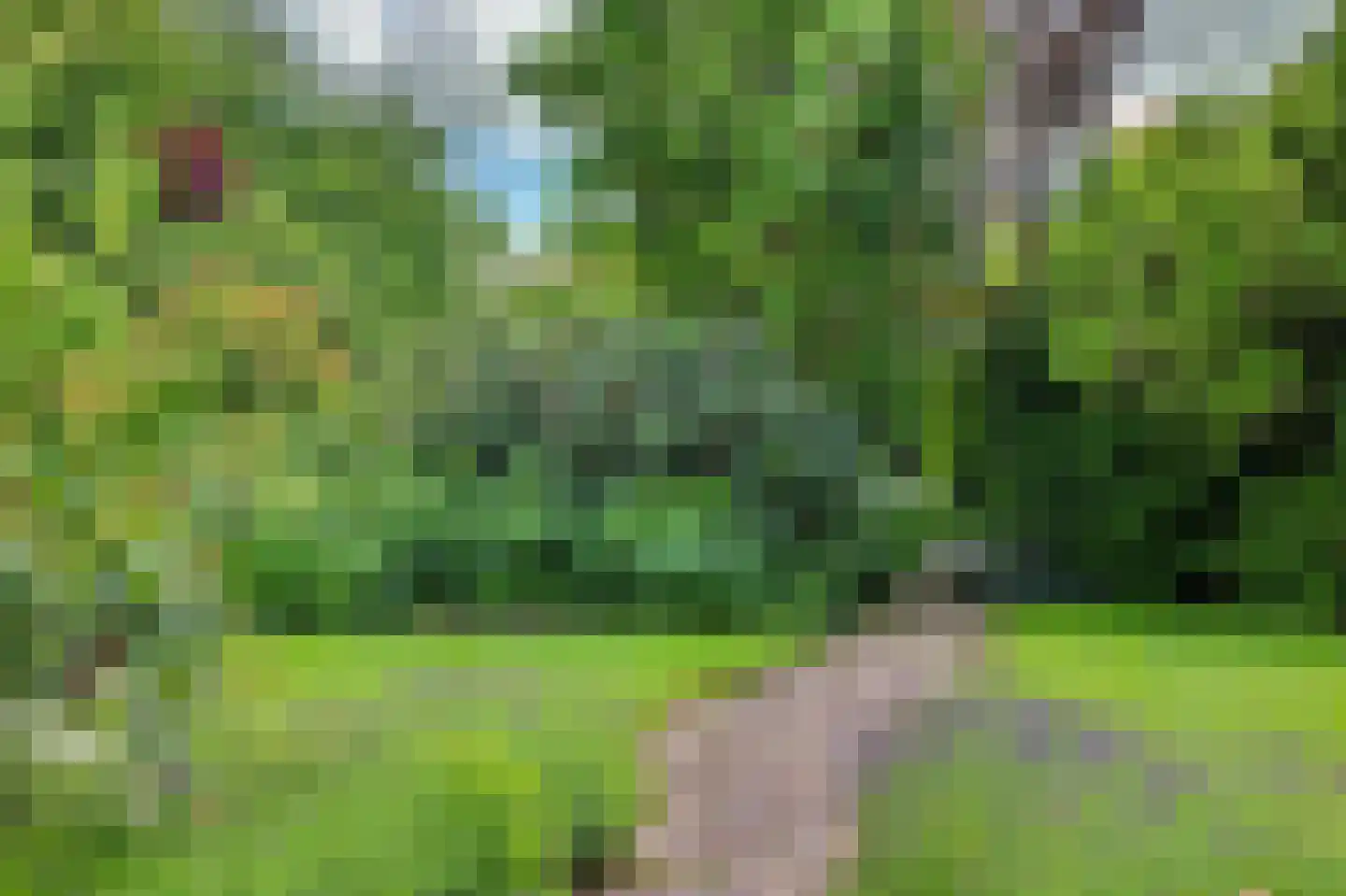 Blaaksedijk Oost 28 Heinenoord thumbnail 41