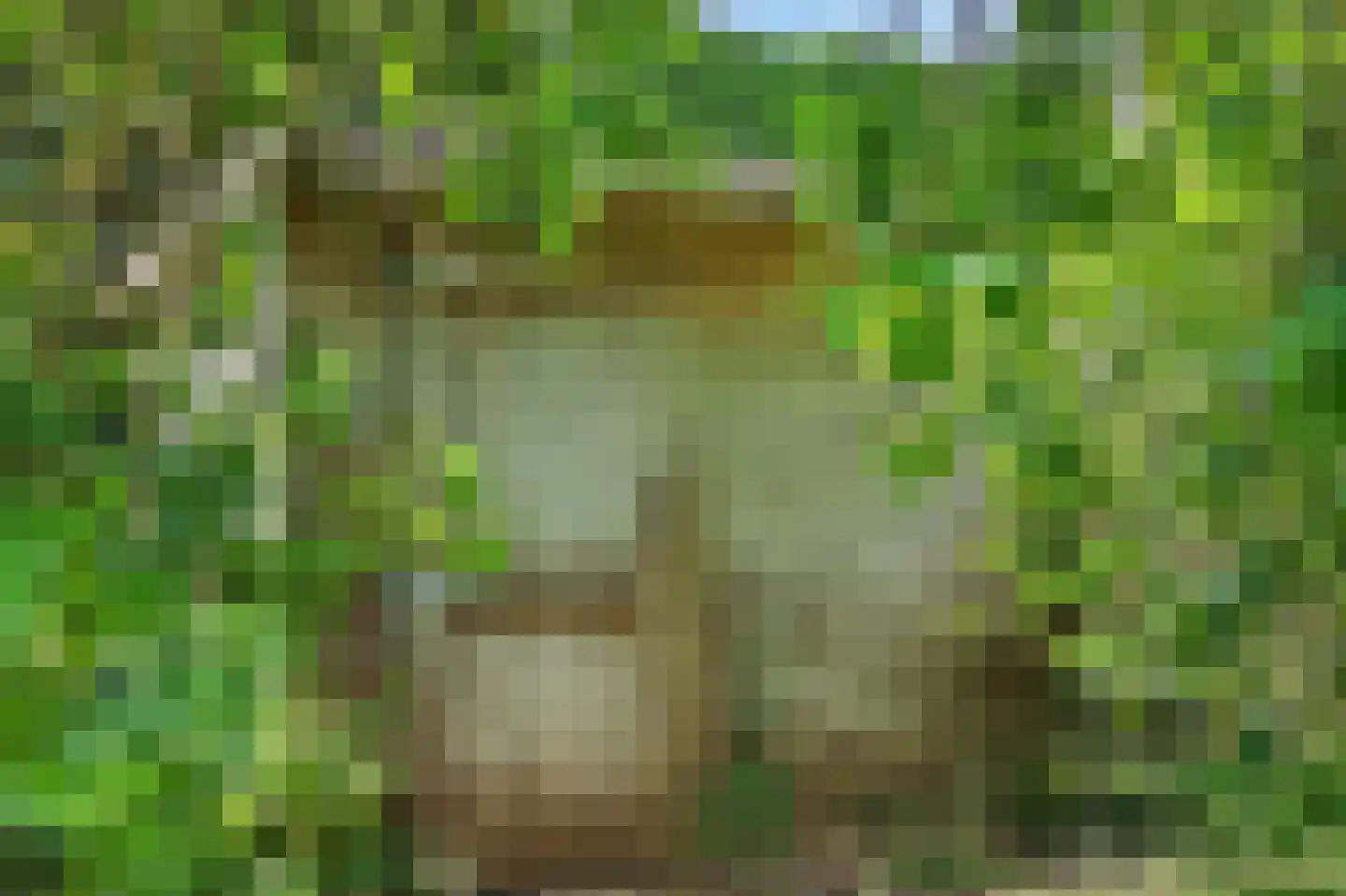 Blaaksedijk Oost 28 Heinenoord thumbnail 42