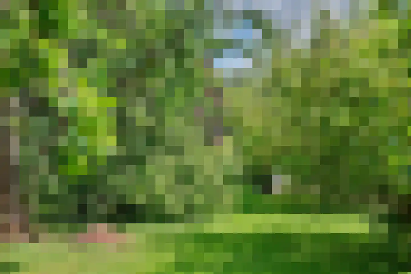 Blaaksedijk Oost 28 Heinenoord thumbnail 43