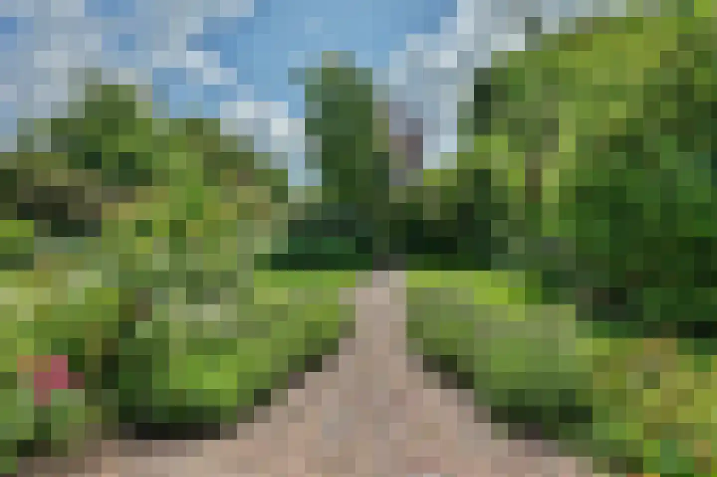 Blaaksedijk Oost 28 Heinenoord thumbnail 44