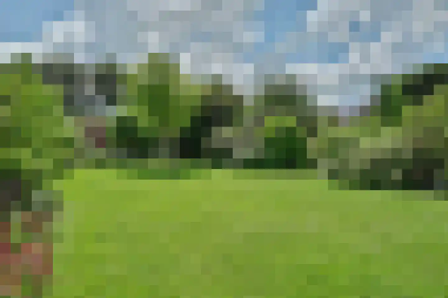 Blaaksedijk Oost 28 Heinenoord thumbnail 45