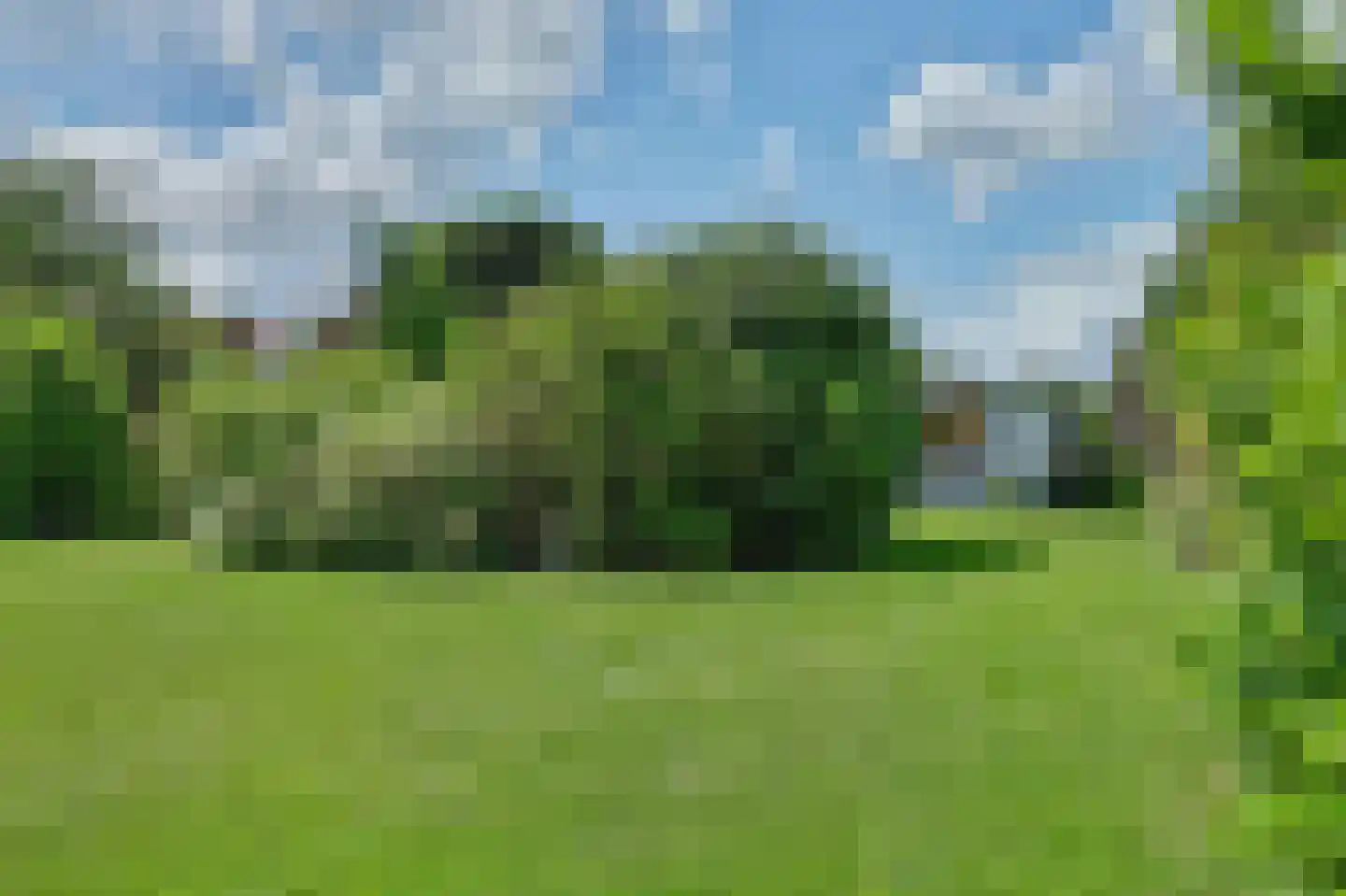 Blaaksedijk Oost 28 Heinenoord thumbnail 46