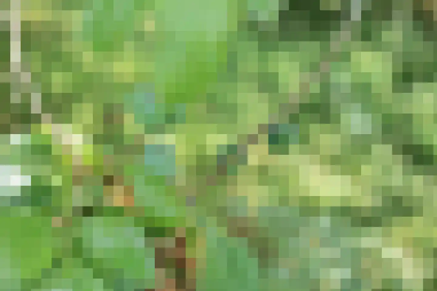Blaaksedijk Oost 28 Heinenoord thumbnail 47