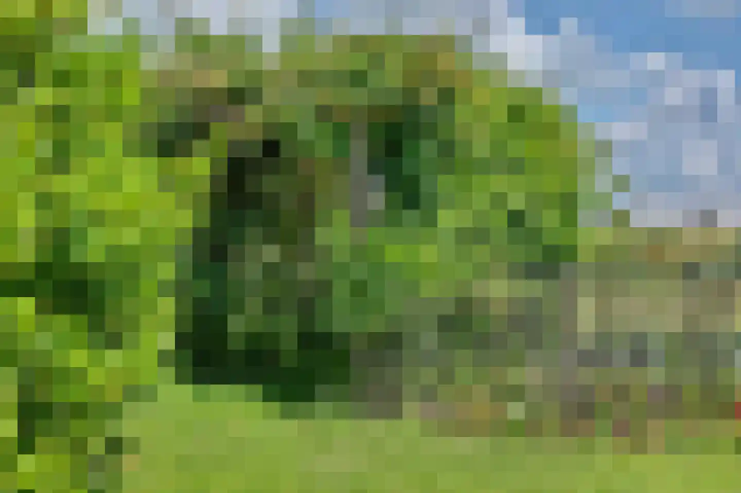 Blaaksedijk Oost 28 Heinenoord thumbnail 48