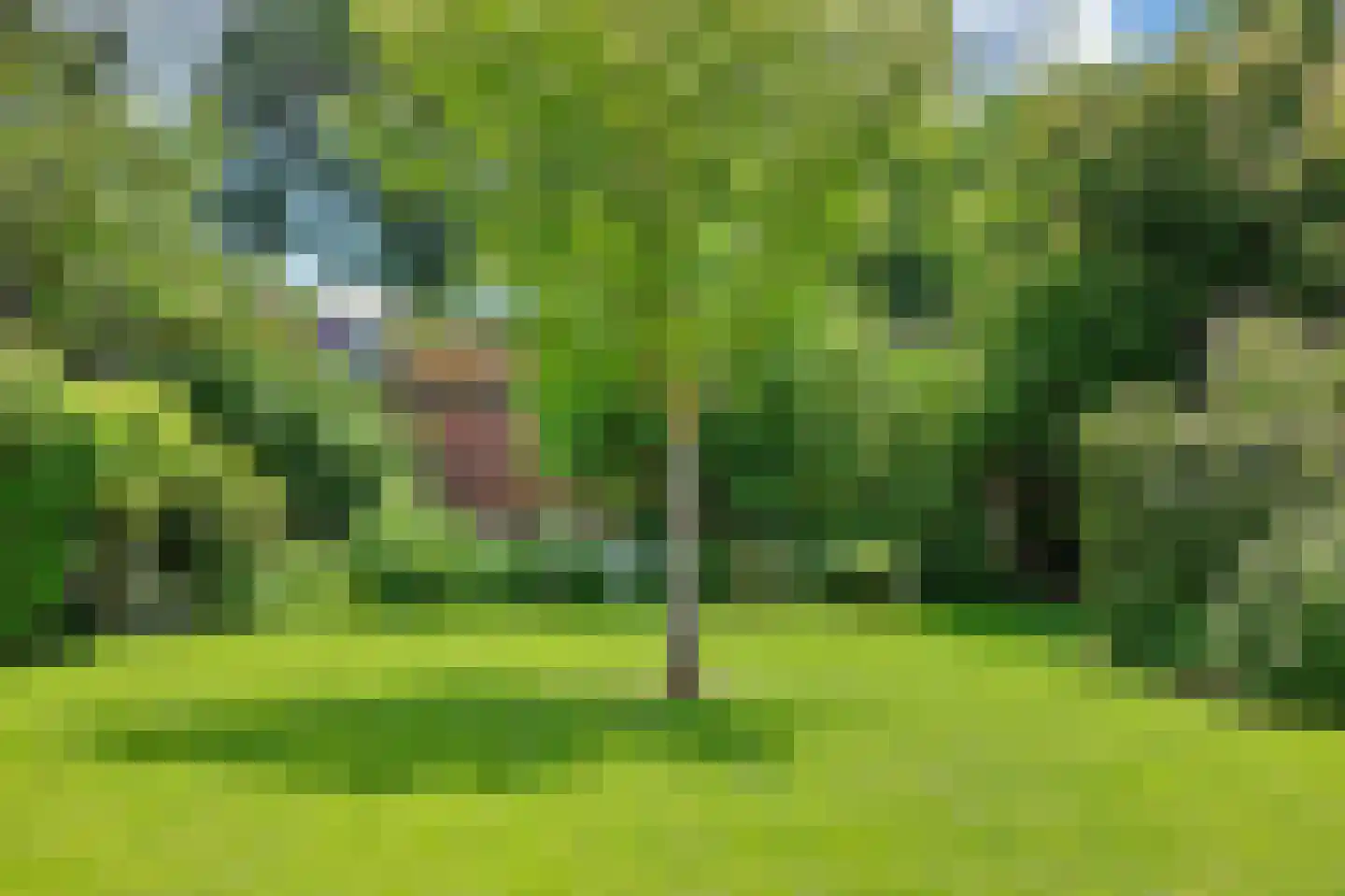 Blaaksedijk Oost 28 Heinenoord thumbnail 49