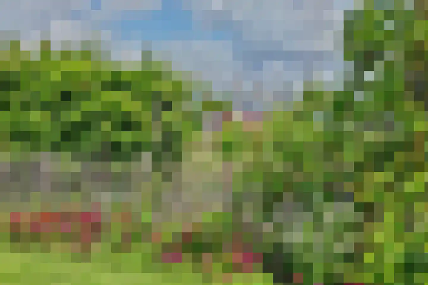 Blaaksedijk Oost 28 Heinenoord thumbnail 50