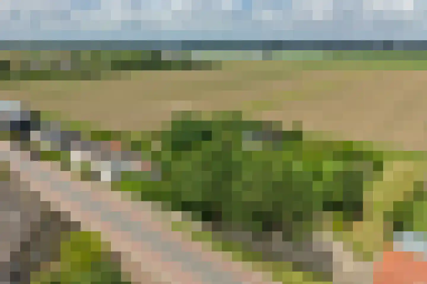 Blaaksedijk Oost 28 Heinenoord thumbnail 55