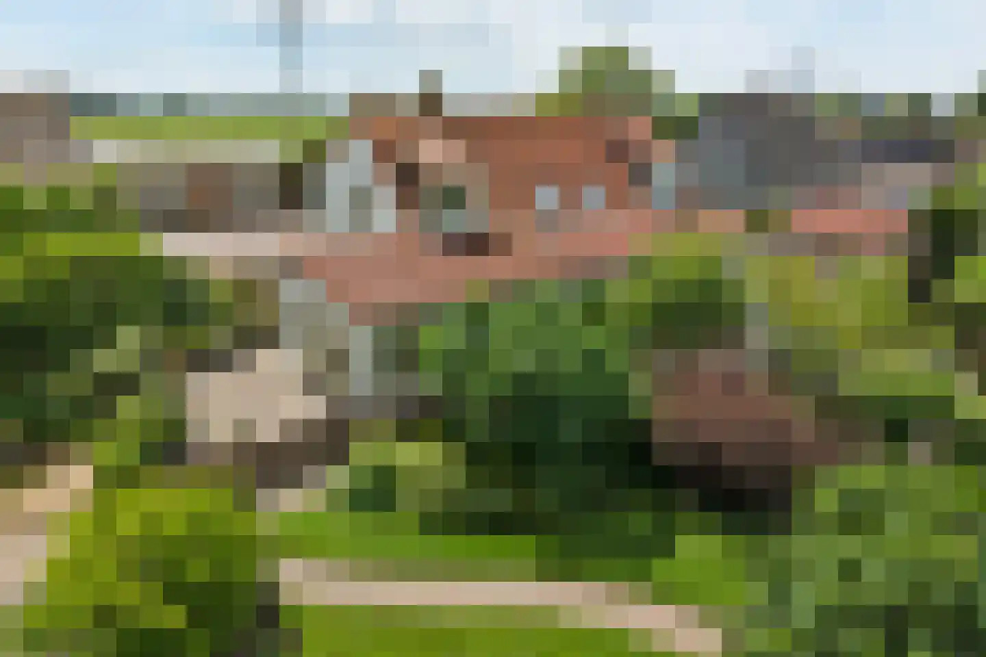 Blaaksedijk Oost 28 Heinenoord thumbnail 56