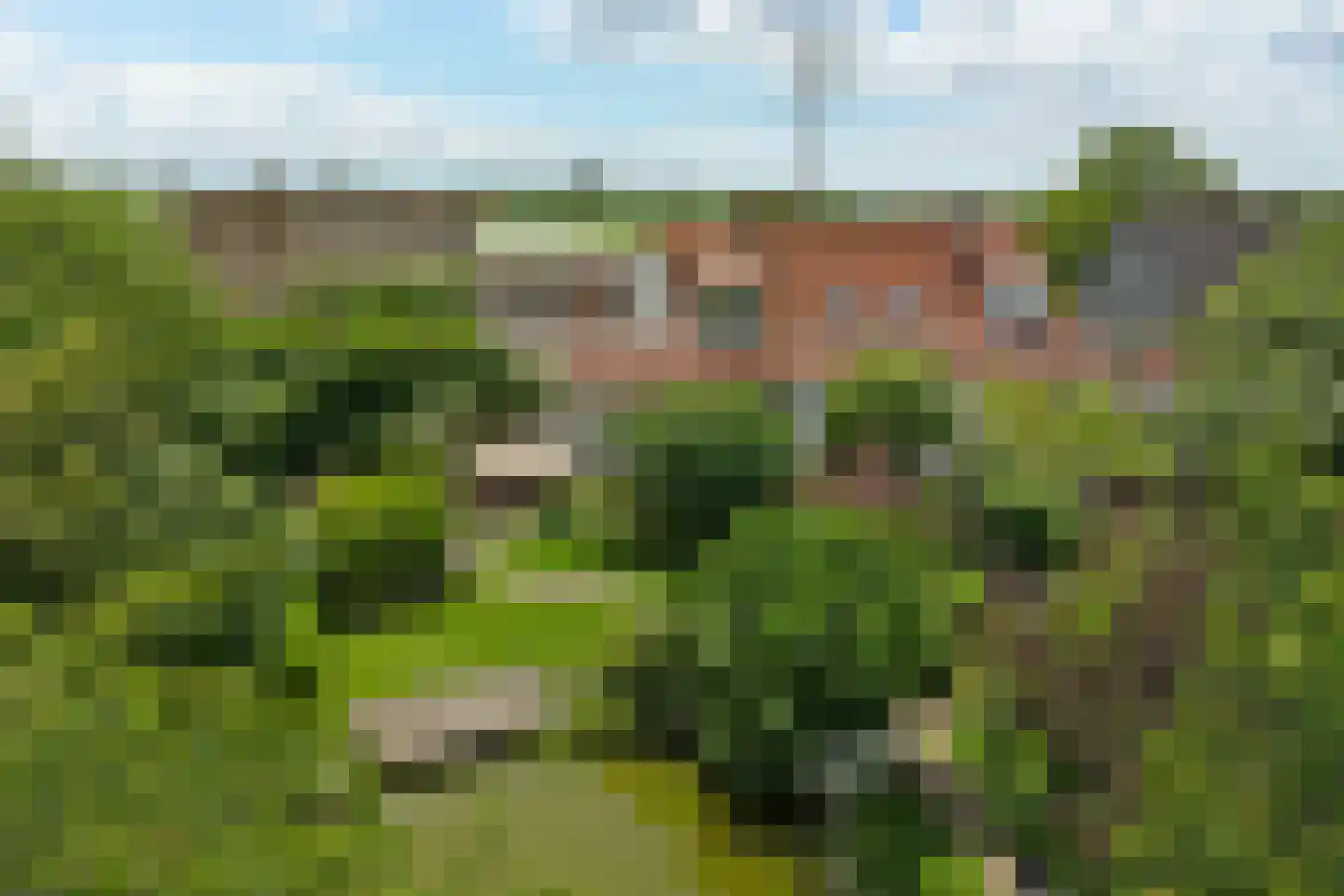 Blaaksedijk Oost 28 Heinenoord thumbnail 57