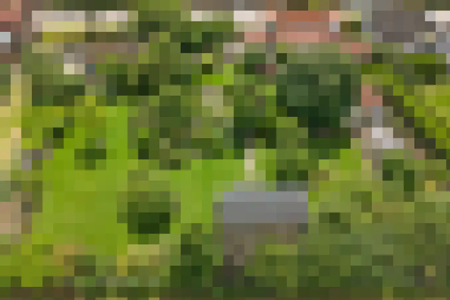 Blaaksedijk Oost 28 Heinenoord thumbnail 58