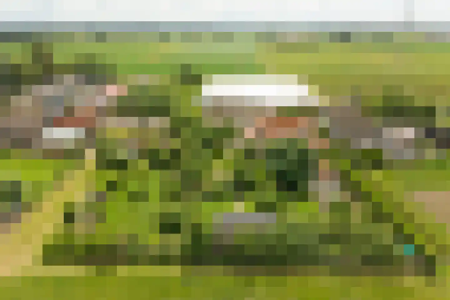 Blaaksedijk Oost 28 Heinenoord thumbnail 59