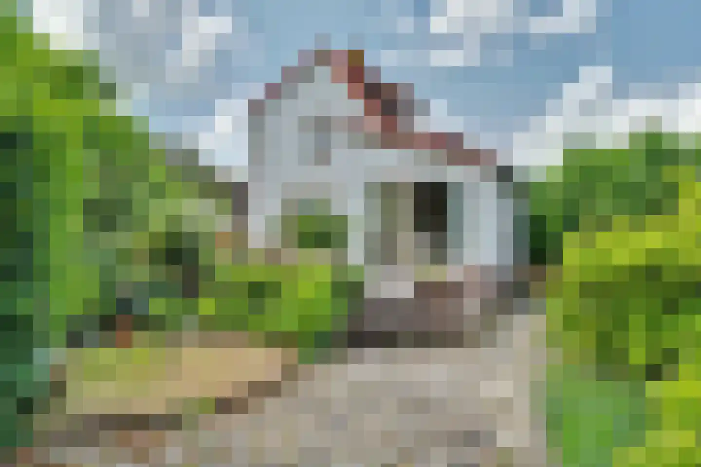 Blaaksedijk Oost 28 Heinenoord thumbnail 7