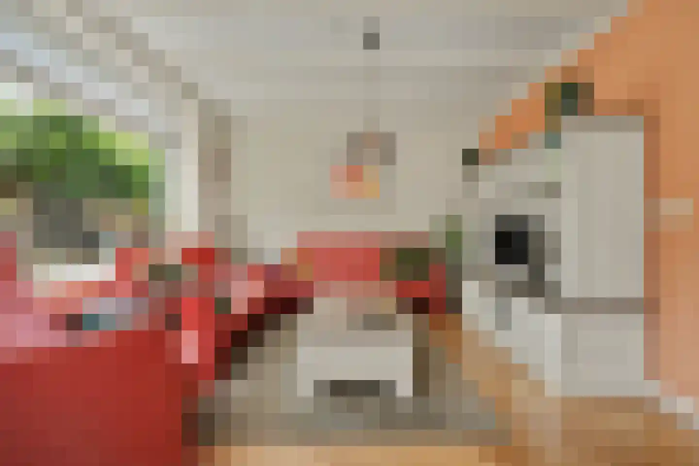 Blaaksedijk Oost 28 Heinenoord thumbnail 9