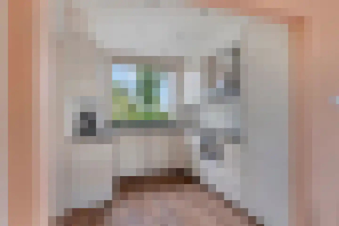 Blaaksedijk Oost 57 Heinenoord thumbnail 12