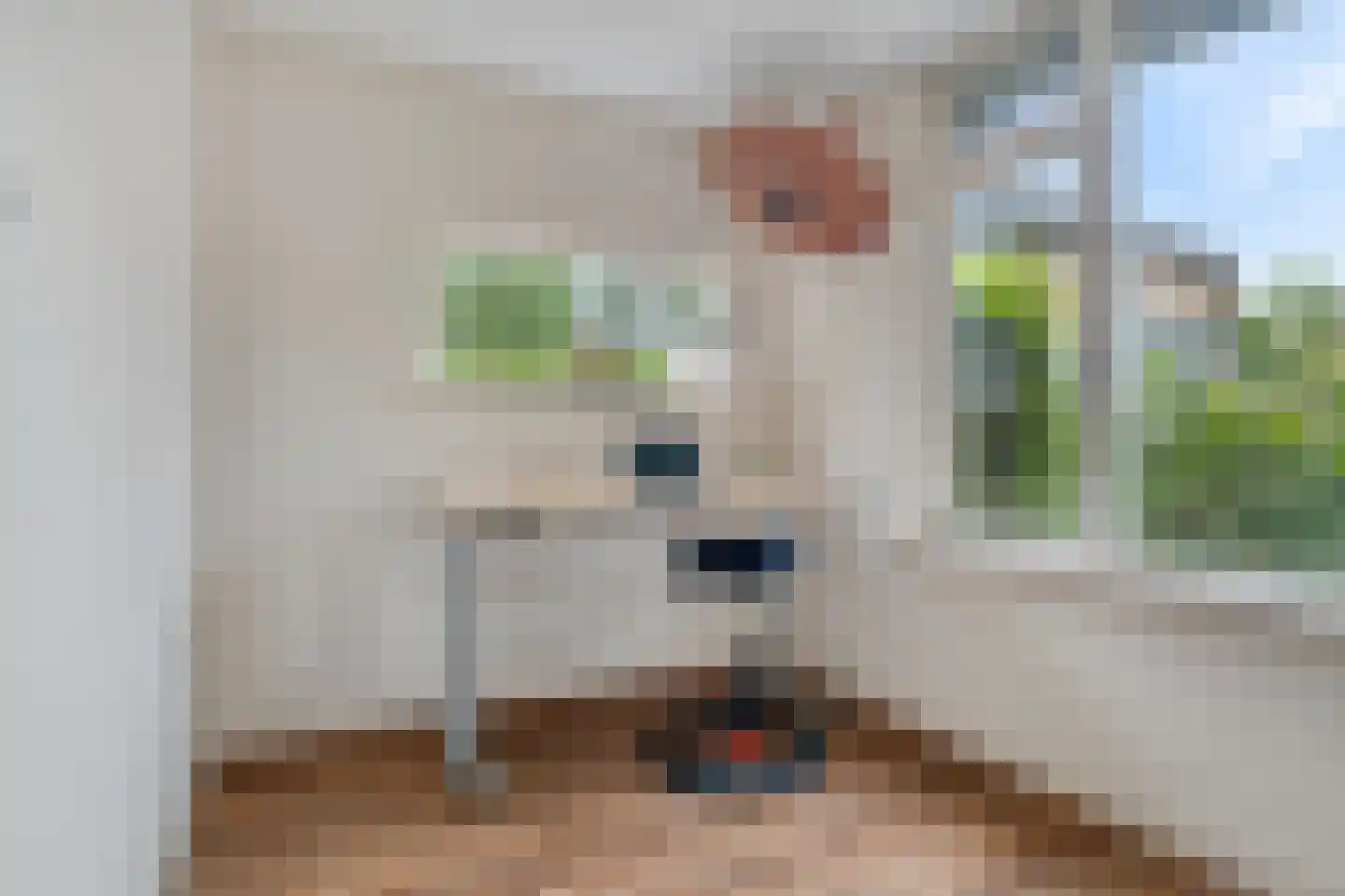 Blaaksedijk Oost 57 Heinenoord thumbnail 14