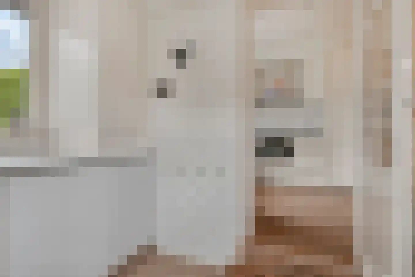 Blaaksedijk Oost 57 Heinenoord thumbnail 17
