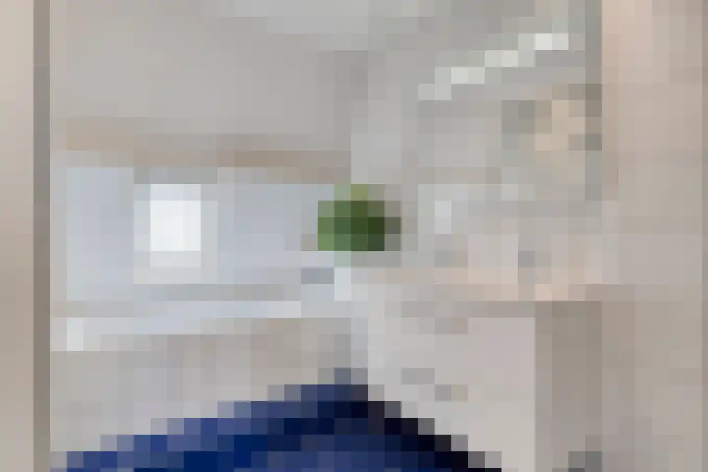 Blaaksedijk Oost 57 Heinenoord thumbnail 29