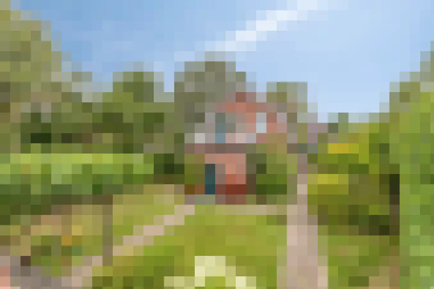 Blaaksedijk Oost 57 Heinenoord thumbnail 36