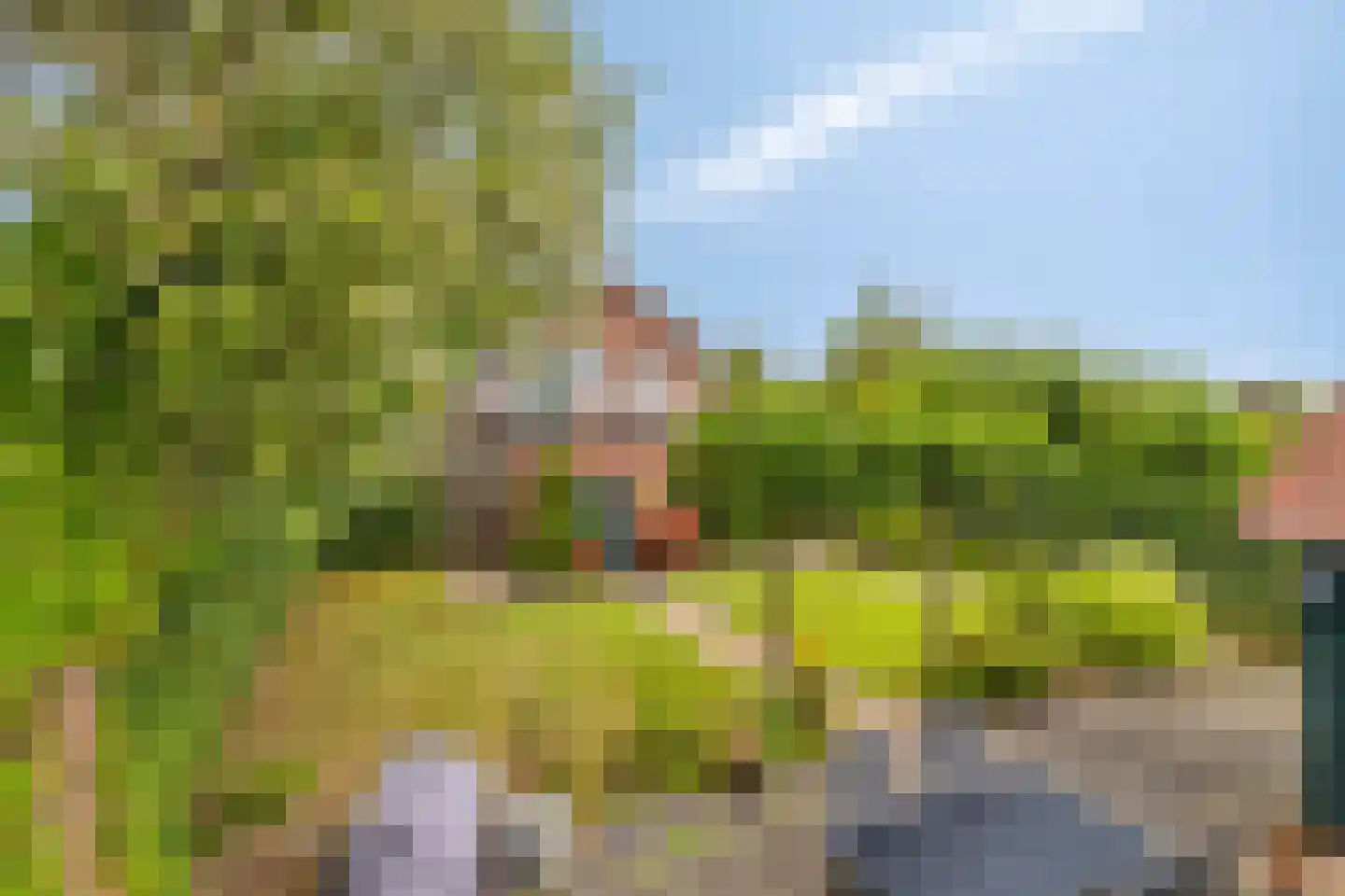 Blaaksedijk Oost 57 Heinenoord thumbnail 37