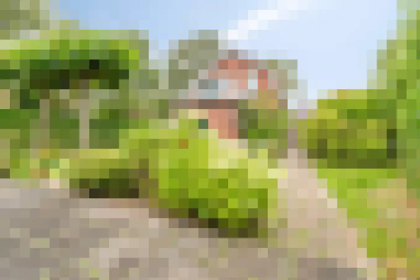 Blaaksedijk Oost 57 Heinenoord thumbnail 38