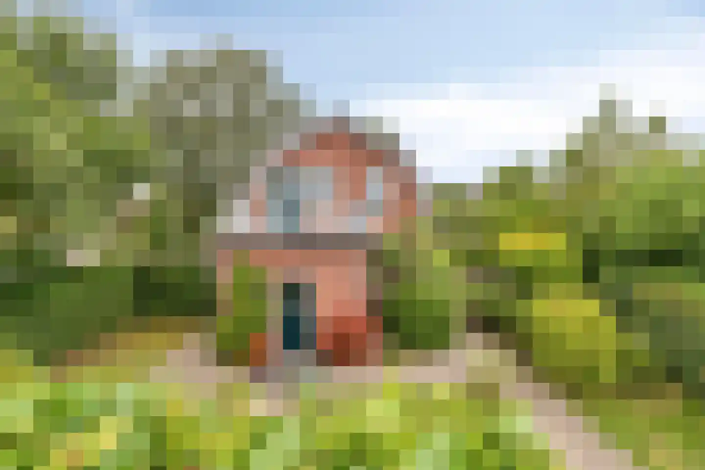 Blaaksedijk Oost 57 Heinenoord thumbnail 39